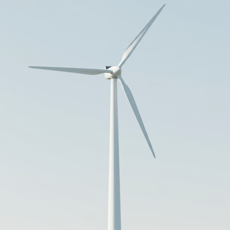 Lighting and Electrical